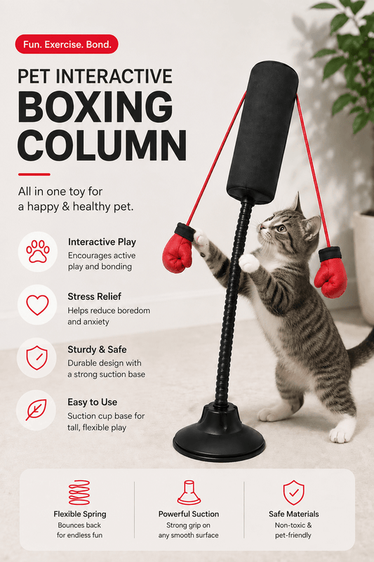 Cat Boxing Column